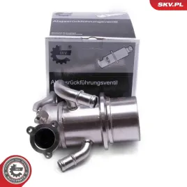 zawor-egr-14skv243-skv