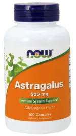 astragalus-500mg-100-caps
