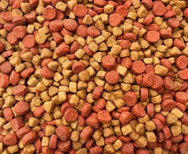sucha-karma-dla-kota-10kg-maxipet-pelnoporcjowa-kurczak-z-indykiem