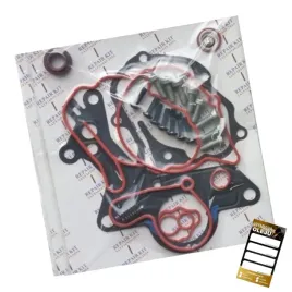 zestaw-naprawczy-pompy-vacum-vw-golf-iv-1-9tdi-98-