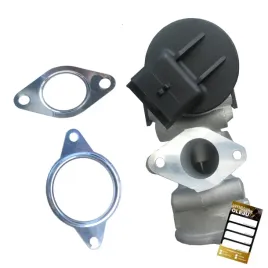 zawor-egr-spalin-do-ford-volvo-1231964-30777384