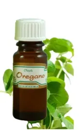 olejek-zapachowy-oregano-12ml-brak-opakowania