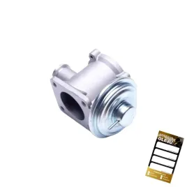 zawor-egr-do-bmw