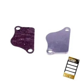 zestaw-naprawczy-egr-opel-2-2-z22se-benz