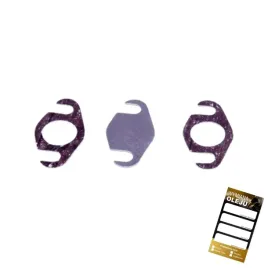zestaw-naprawczy-egr-smart-fortwo-0-8-cdi