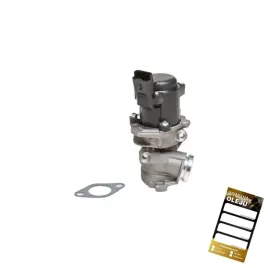 zawor-egr-ford-peugeot-toyota-1-4-diesel