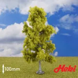 heki-brzoza-100