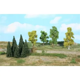 maly-las-drzewa-lisciaste-5-11-cm-30-szt-heki-drzewka