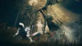 elden-ring-shadow-of-the-erdtree-edition-nowa-pl-ps5-tryb-gry-multiplayer-singleplayer
