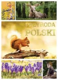 przyroda-polski
