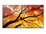 monitor-digital-signage-sharp-m322-32-lcd-24-7
