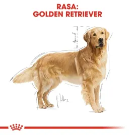 royal-canin-bhn-golden-retriever-sucha-karma-dla-psa-doroslego-12-kg