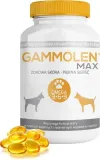 gammolen-max-90-tabletek