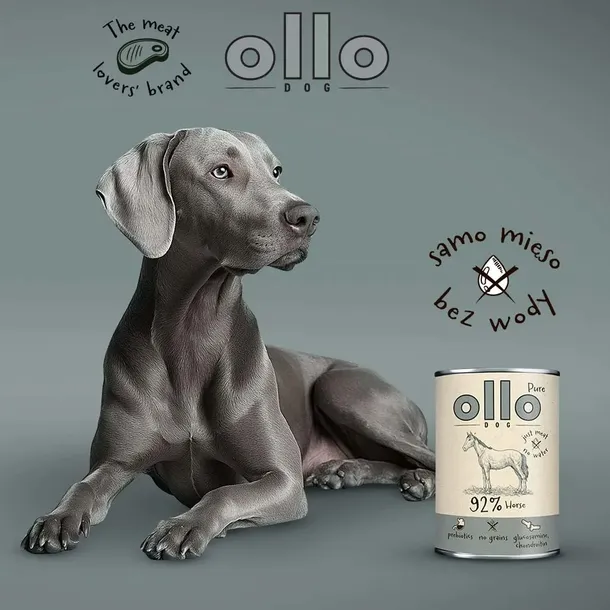 ollo-pure-kon-400g-rodzaj-opakowania-puszka