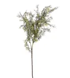 sztuczne-liscie-asparagus-galazka-dekoracyjna-do-wiazanek-kompozycji-stan-nowy