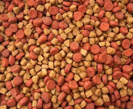sucha-karma-dla-kota-10kg-maxipet-pelnoporcjowa-kurczak-z-indykiem