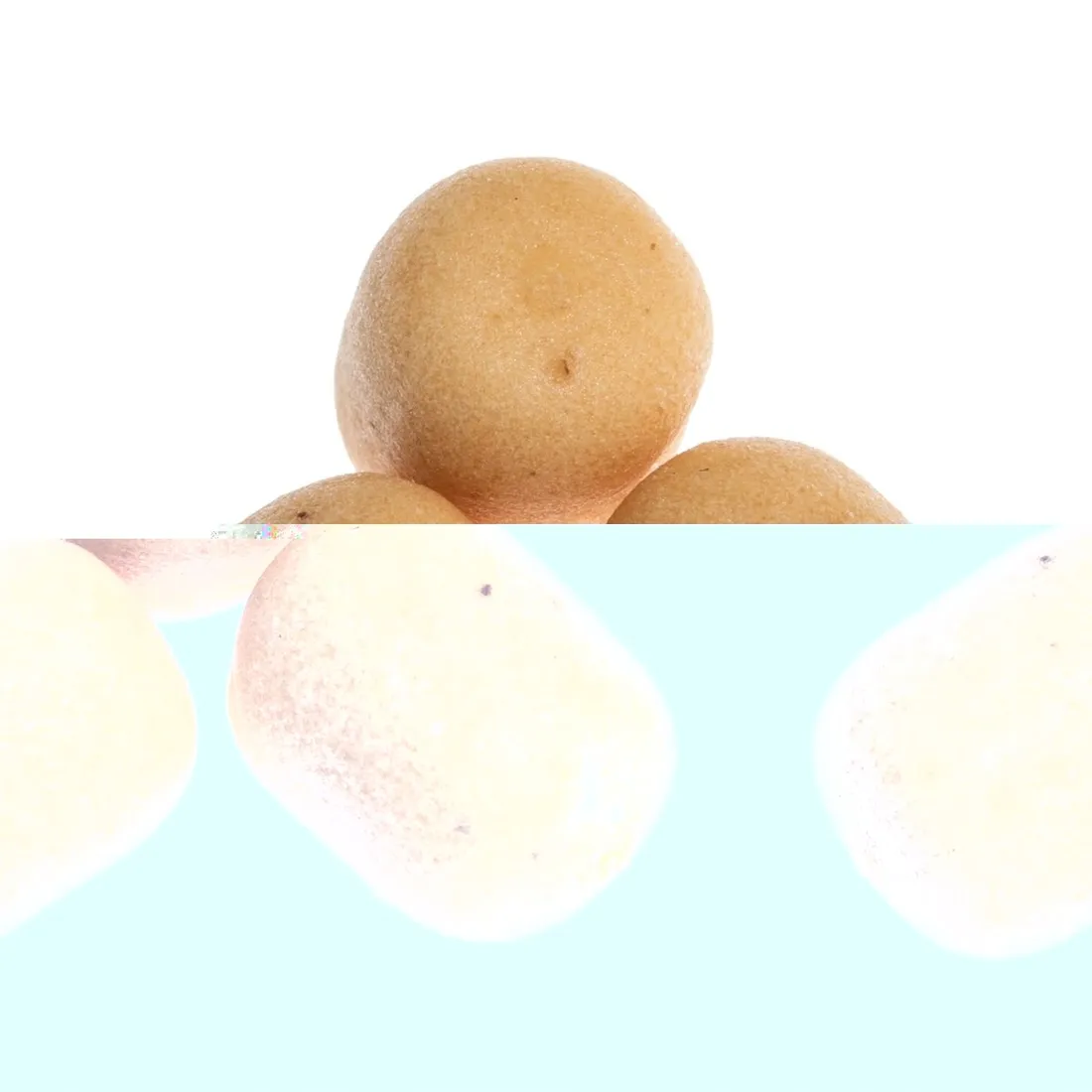 wafter-mini-method-feeder-halibut-czerwony-15g-6mm