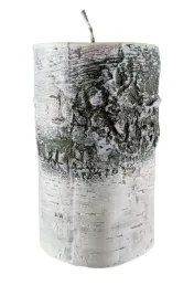 swieca-brzoza-pniak-70-120mm-bialy