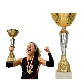 puchar-metalowy-zloto-srebrny-trofeum-tabliczka-i-emblemat-gratis-or-29-cm