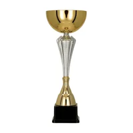 puchar-zloty-ze-srebrnym-uchwytem-grawer-na-tabliczce-gratis-or-295-x-10-cm