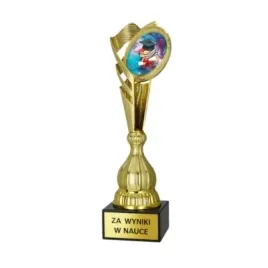 zloty-puchar-plastikowy-trofeum-dla-szkol-tabliczka-grawer-gratis-or-33cm