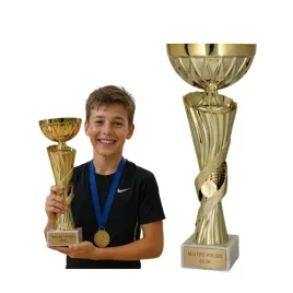 nagroda-i-miejsce-puchar-zloty-trofeum-emblemat-tabliczka-gratis-or-285-cm