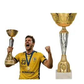 puchar-metalowy-zloto-srebrny-trofeum-tabliczka-i-emblemat-gratis-or-25-cm
