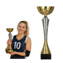 trofeum-puchar-metalowy-zloto-srebrny-tabliczka-z-grawerem-gratis-or-36-cm