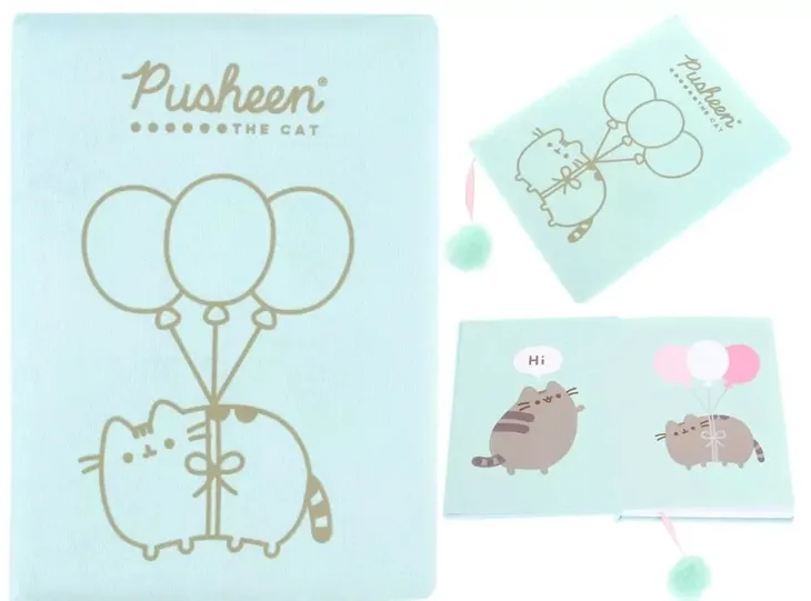 notes-pluszowy-a5-96k-pusheen-stan-nowy