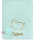 notes-pluszowy-a5-96k-pusheen-format-a5