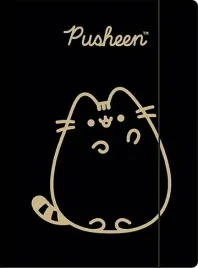 pusheen-teczka-z-gumka-a4-szkolna-twarda-dla-dzieci-300g-m2-nadruk-gold