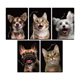 zeszyt-a5-w-kratke-60-kartek-crazy-animals-70g-mix-1-sztuka