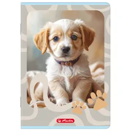 zeszyt-herlitz-standard-animals-a5-32k-kratka-z-marginesem