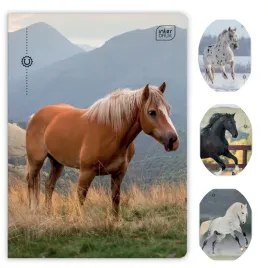 zeszyt-szkolny-trzy-linie-kolorowe-a5-32-kartki-70g-uv-wild-horses-kon-1szt