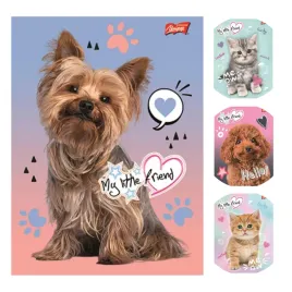 zeszyt-a5-w-linie-podwojna-dwukolorowa-laminowany-my-little-friend-mix-1szt