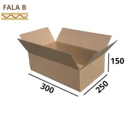 karton-300x250x150-mm-karton-klapowy-1-sztuka-pudelko