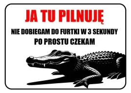 tabliczka-informacyjna-ja-tu-pilnuje-aligator-a3-pcv