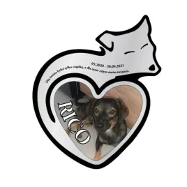 personalizowana-tabliczka-upamietniajaca-dla-psa-srebrna-trwaly-nadruk-uv