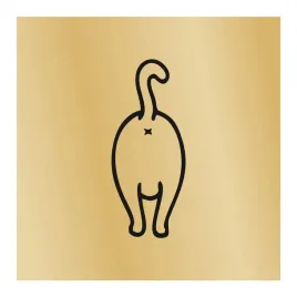 tabliczka-na-drzwi-grawer-8x8cm-wc-kot-2