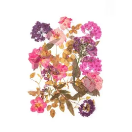 naklejki-transparentne-hortensje-i-roze-12szt-galeria-papieru