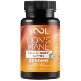 lion-s-mane-sool-zelki-60-sztuk-witaminy-b5-b6-b12-witamina-c-odpornosc