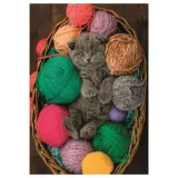 puzzle-500-elementow-fluffy-kitten-puszysty-kociak-marka-clementoni