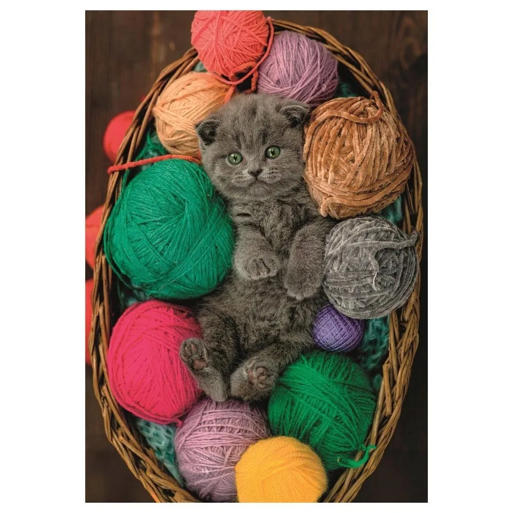 puzzle-500-elementow-fluffy-kitten-puszysty-kociak-stan-nowy