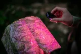 latarka-led-newell-edc-nyks-solid-czarna-model-solid-black