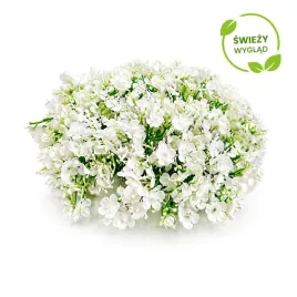 wianek-komunijny-gipsowka-25cm-slub-komunia-chrzest-wiosenny-wiosna