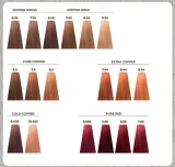 profesjonalna-farba-do-wlosow-echosline-echos-color-indigo-100-ml-wielkosc-produkt-pelnowymiarowy