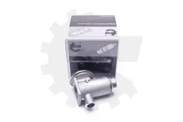 zawor-egr-bmw-skv
