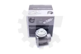 zawor-egr-bmw-opel-skv