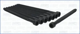 zestaw-srub-glowicy-cylindrow-81028800-ajusa