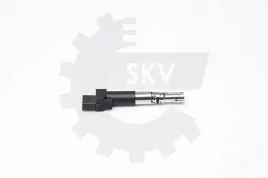 cewka-zaplonowa-porsche-skoda-skv